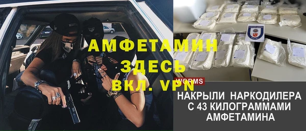 гидра Алексеевка